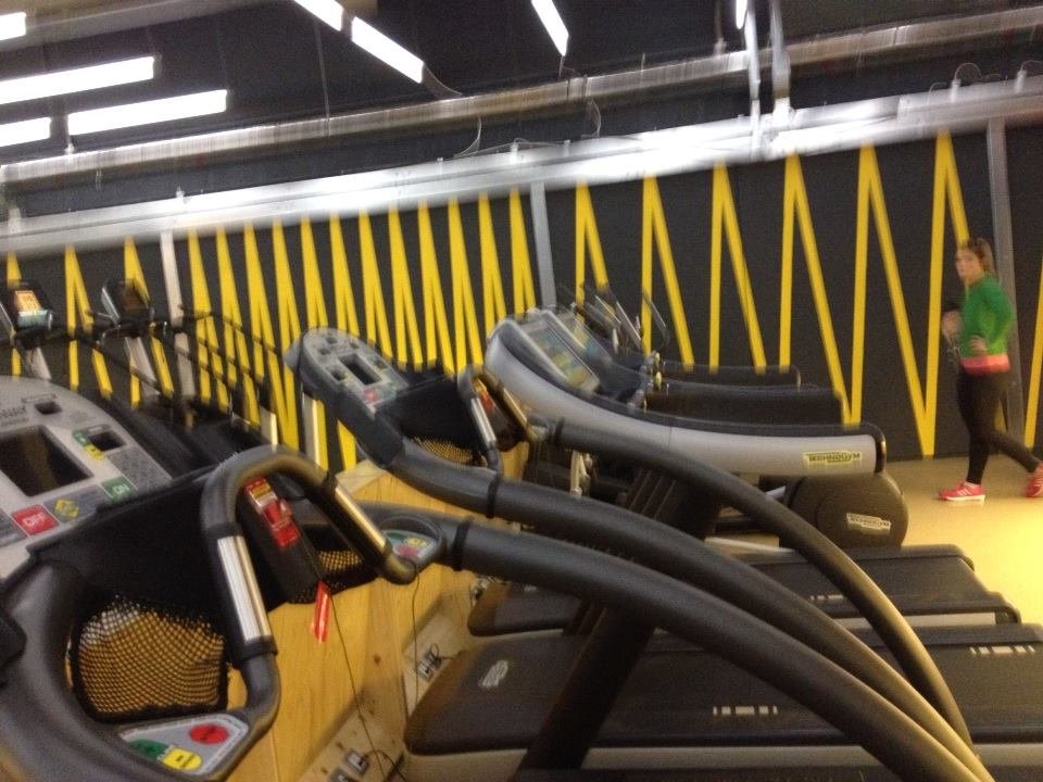 GymBox, 12x3 signwriting book signpainting book urban distressed NGS London ghost sign gold leaf lettering