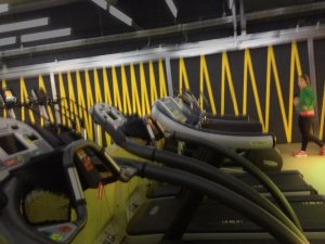 NGS Painted gold House numbers names Traditional sign writers of London NGS Dulwich Margate Chelsea signwriters