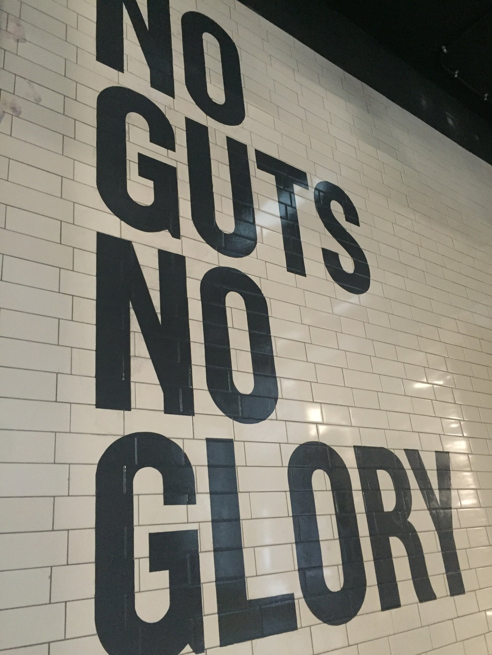 12x3 boxing gym, signwriting book signpainting book urban distressed NGS London ghost sign gold leaf lettering