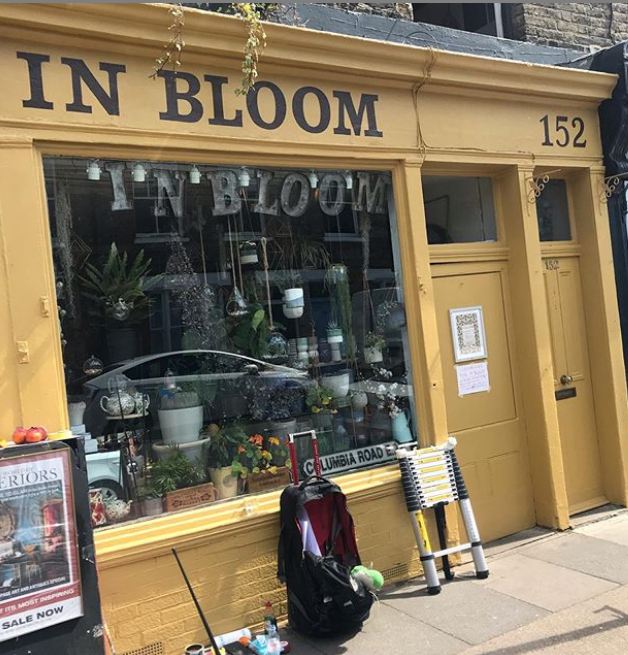 Traditional Modern Sign writing 