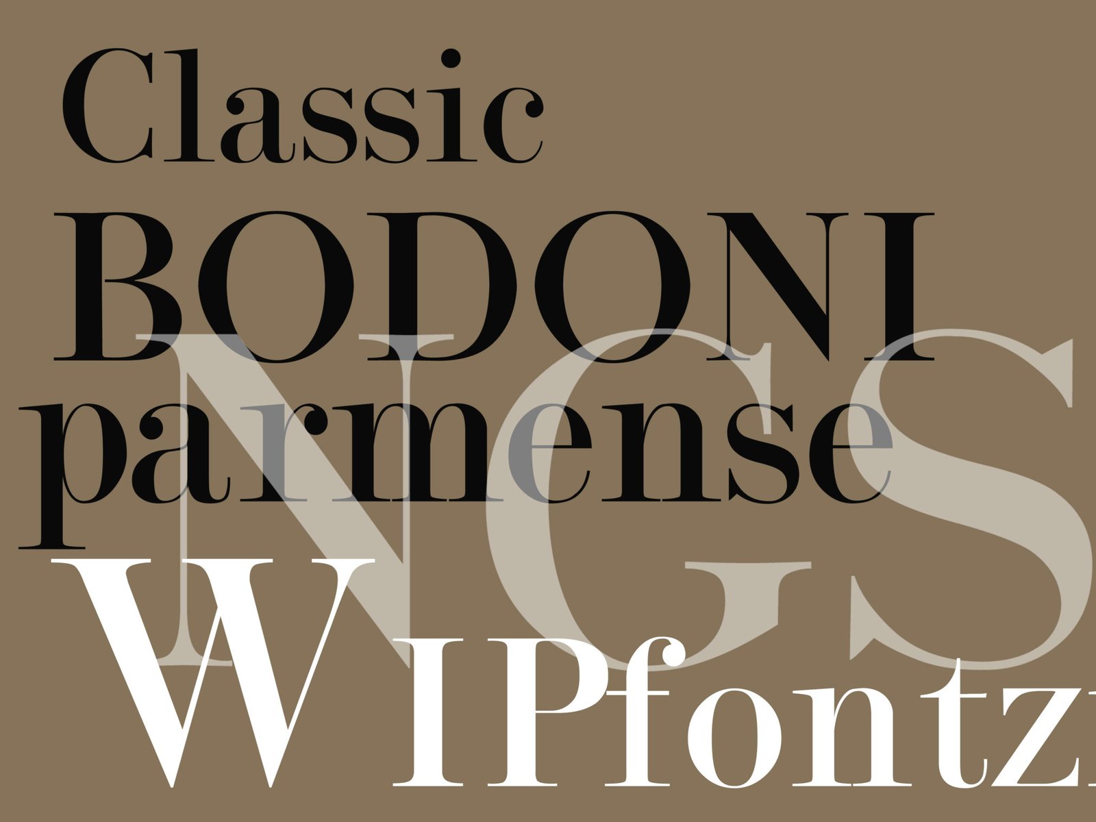Bodoni-Promo-image-NGS-fonts and Type
