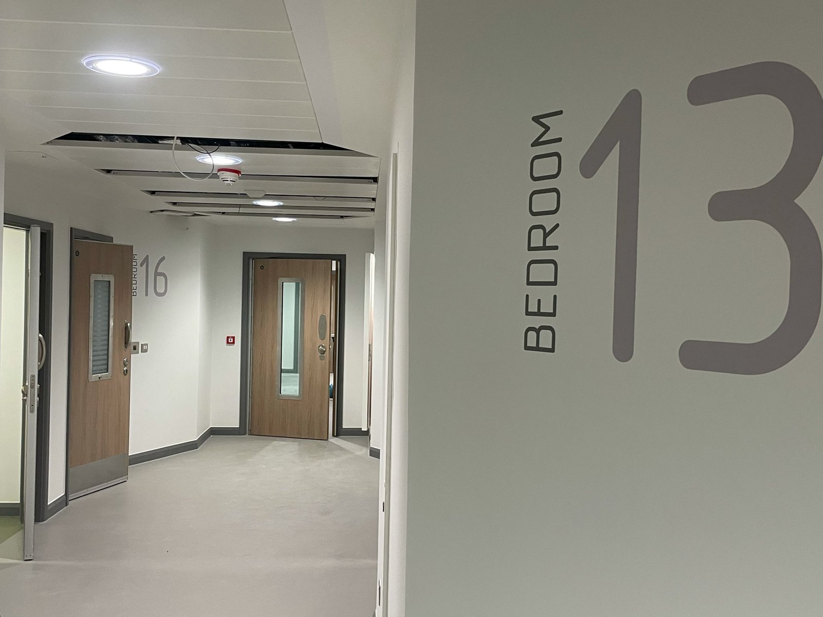 Digitally crafted sign writing today's new art form lettering by NGS