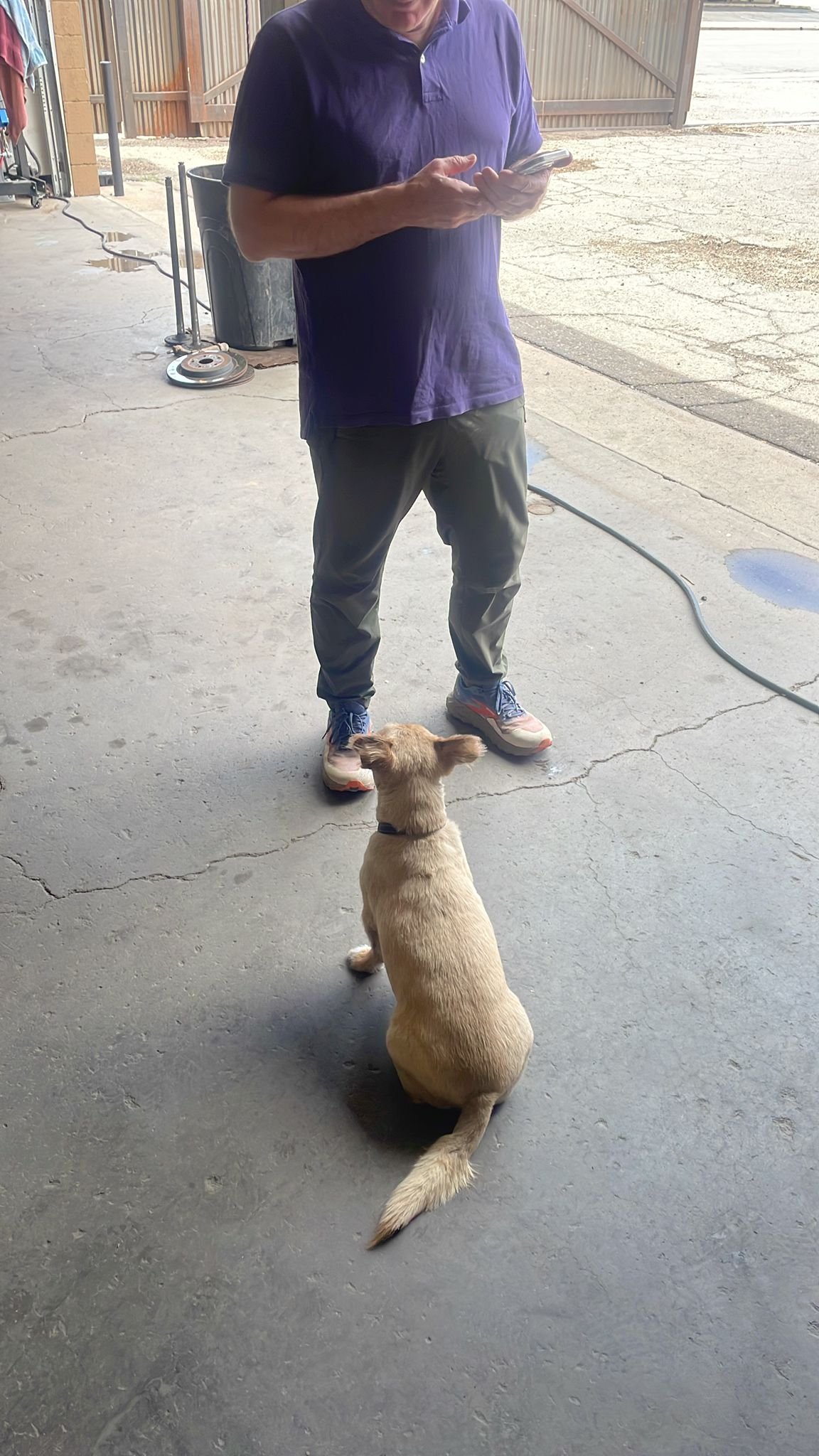 Elsie's of Moab, Jailhouse cafe Moab Utah., NGS Brand design