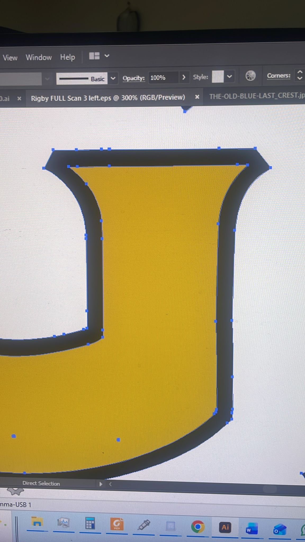 Rigby Guns makers, NGS restoration sign writiers