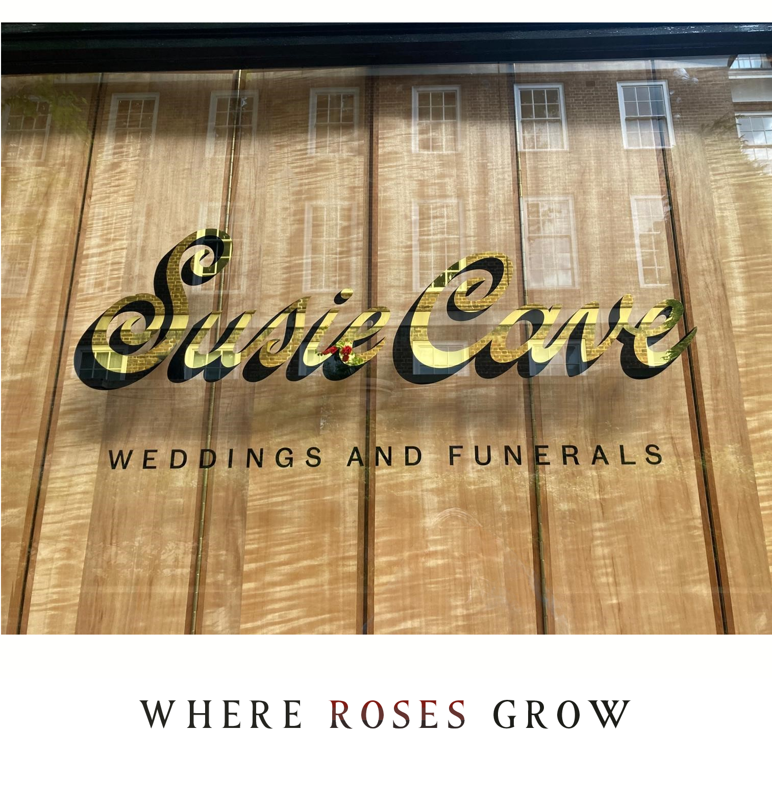 Susie Cave studio Kensington | NGS Sign lettering & writing. Susie Cave studioKensington